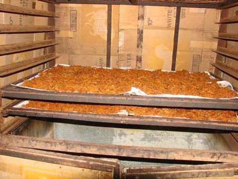 Bẩn như thịt bò khô