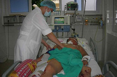 Dịch bệnh liên cầu lợn tấn công các tỉnh phía Bắc