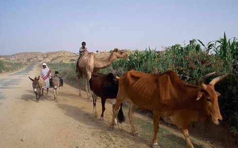 Khám phá 15 cung đường nguy hiểm trên thế giới - ảnh 14