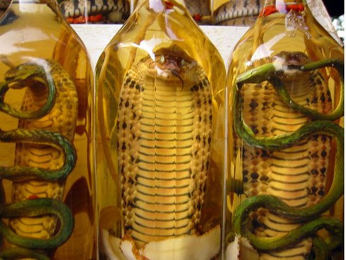 10 món ăn dị nhất hành tinh - ảnh 10