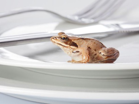 10 món ăn dị nhất hành tinh - ảnh 2