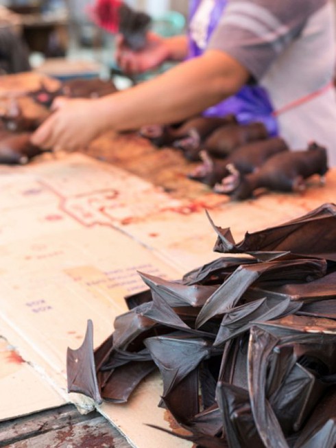 10 món ăn dị nhất hành tinh - ảnh 5