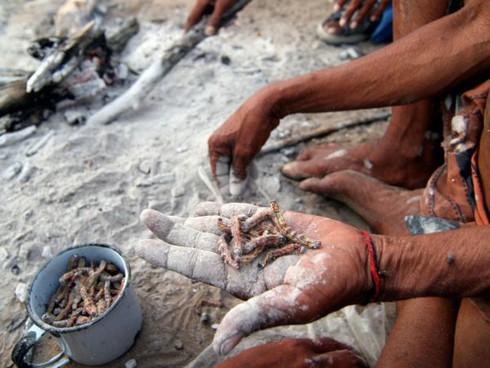 10 món ăn dị nhất hành tinh - ảnh 6