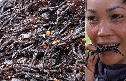 10 món ăn dị nhất hành tinh - ảnh 1