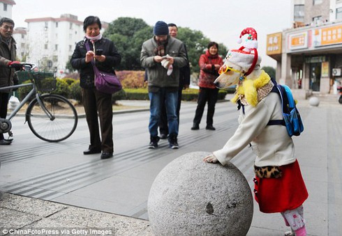 Chú chó ăn mặc sành điệu như người mẫu đi 2 chân trên phố - ảnh 2