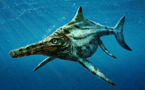 Tìm thấy quái vật khổng lồ cá heo lai cá sấu thời tiền sử ở Scotland - ảnh 1