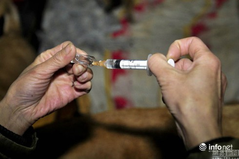 Cặp vợ chồng già bán hàng rong nuôi 60 chó mèo hoang - ảnh 4