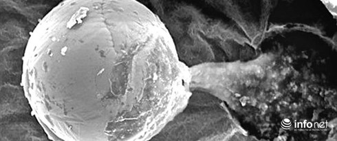 Người ngoài hành tinh