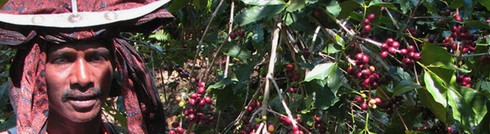 6 điểm quyến rũ khách du lịch ở quốc gia trẻ nhất Đông Nam Á - ảnh 6