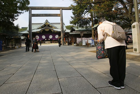 Nhật Bản hỗ trợ ASEAN đối phó lão hóa dân số - ảnh 1