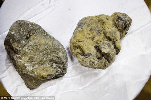 Chấn động với phát hiện xác ướp 2 sư tử hang hơn 12.000 năm tuổi - ảnh 2