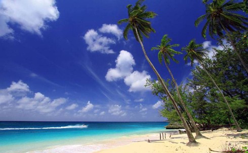 Việt Nam là một điểm đến lý tưởng tận hưởng nắng mùa đông - ảnh 8