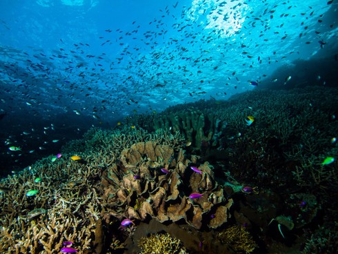 Du lịch Indonesia qua 15 bức ảnh thắng cảnh đẹp tới