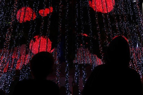 Cây thông Noel khổng lồ với hơn 500 nghìn bóng đèn - ảnh 2