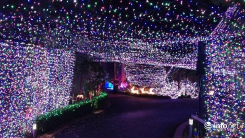 Cây thông Noel khổng lồ với hơn 500 nghìn bóng đèn - ảnh 4