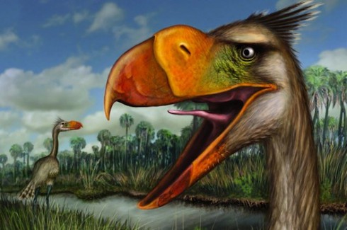 Phát hiện hóa thạch chim 