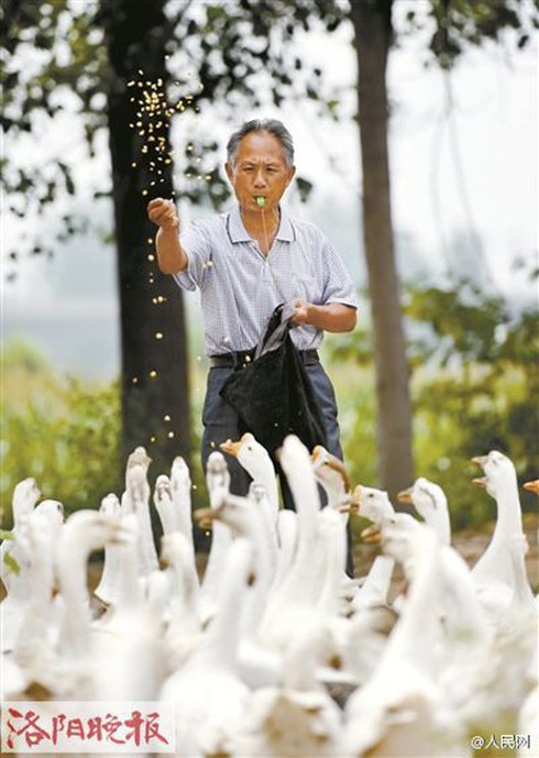 Cụ ông 71 tuổi ăn mặc