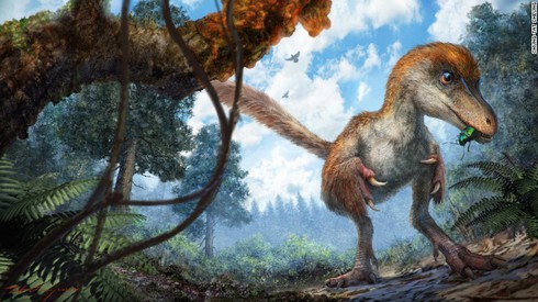 Phát hiện phần đuôi khủng long 99 triệu năm trước - ảnh 3