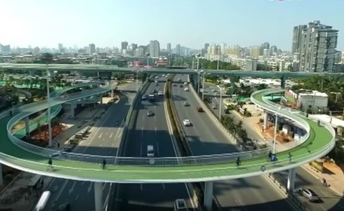 Tận mục sở thị cầu dành cho xe đạp dài nhất thế giới - ảnh 4