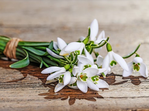 Thế giới đón ngày lễ tình nhân Valentine như thế nào? - ảnh 1