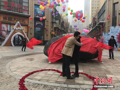 Đem khối thiên thạch 33 tấn đi cầu hôn bạn gái - ảnh 2