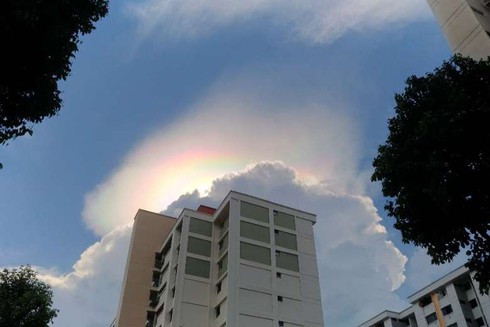 Xem video cầu vồng lửa đặc biệt xuất hiện ở Singapore - ảnh 1