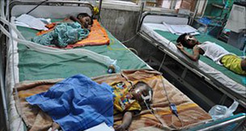 Dịch viêm não bùng phát tại Ấn Độ - ảnh 1