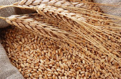 Xuất khẩu Mỹ sang Iran vẫn tăng bất chấp cấm vận - ảnh 1