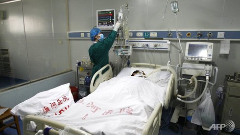 Trung Quốc: Thêm một bệnh nhân tử vong vì nhiễm cúm H7N9 - ảnh 1