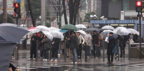 Nhật Bản: Thời tiết càng xấu, người tự tử càng nhiều - ảnh 1