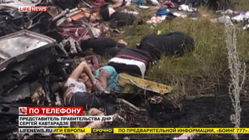 Vì sao châu Á không trừng phạt Nga vì thảm kịch MH17? - ảnh 1