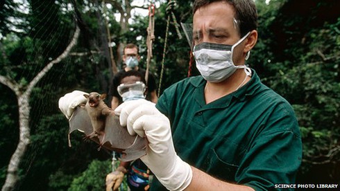 Những hiểu nhầm 'chết người' về căn bệnh Ebola - ảnh 1