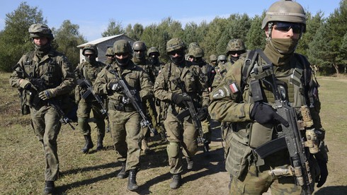 Sợ bị sáp nhập như Crimea, Ukraine thành lập liên minh quân sự - ảnh 1