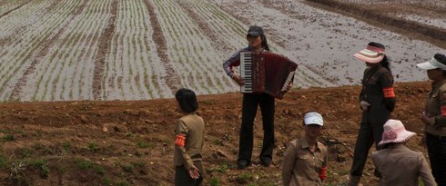 Tin thế giới 18h30: Suy thoái kinh tế kéo dài, ông Putin vẫn được lòng dân - ảnh 7