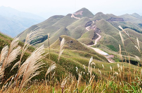 Du lịch Quảng Ninh năm 2016 khởi sắc - ảnh 1