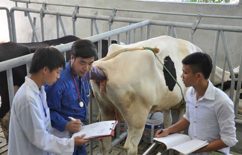 TS. Sử Thanh Long: Làm khoa học mà thu nhập không cao là làm chưa đến đích! - ảnh 1