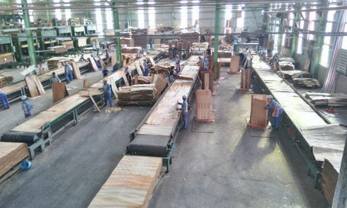 Xuất khẩu gỗ sang Anh lo lắng hậu Brexit - ảnh 1