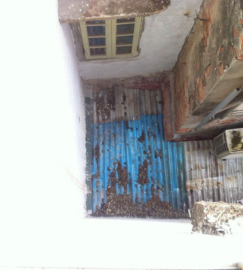 Hà Nội: Bỗng dưng mất đứt đất cho mượn, không biết tòa xử khi nào? - ảnh 4