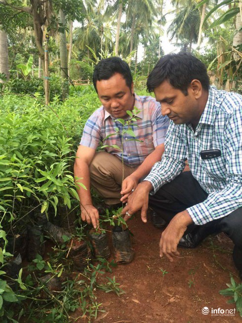Bỏ ghế Hiệu trưởng, Tiến sỹ