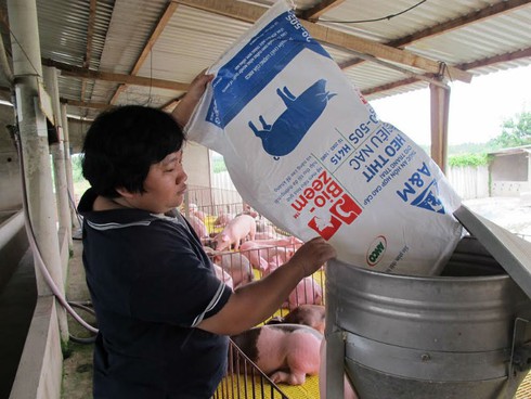 KKR rót thêm 250 triệu USD vào Masan - ảnh 1