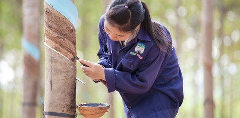 Hoàng Anh Gia Lai: Loạt công ty con dừng hoạt động, chờ thanh lý - ảnh 1