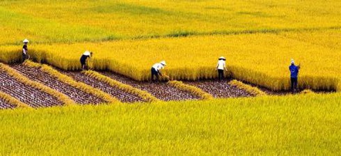 Shop TIN 8/3: Những người đàn bà Sầm Sơn đã đòi được biển - ảnh 9