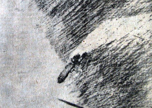 Shop TIN 14/3: Tổ Quốc là con đường bố con mình đang đi - ảnh 11