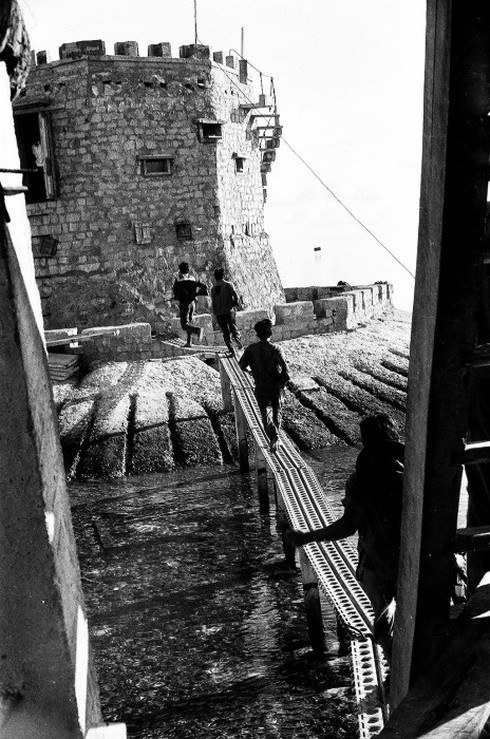 Shop TIN 14/3: Tổ Quốc là con đường bố con mình đang đi - ảnh 7