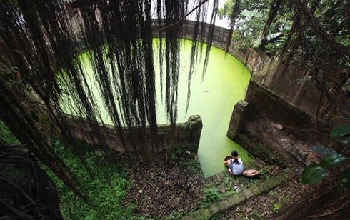 Shop TIN 31/3: Dân ta từ chán sang ngấy- Quan Sở: