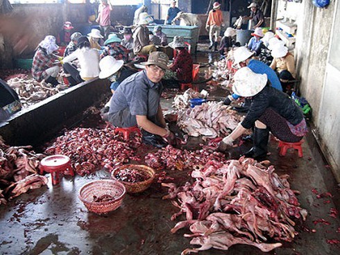 Shop TIN 2/4:Nhìn cho rõ Ta-Bạn-Thù/Tin bạn mất bò-Mất cả đất liền lẫn biển sâu! - ảnh 13