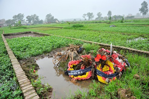 Shop TIN 4/4:Bộ trưởng lạc quan, thứ trưởng lạc lối, rau xanh dẫn ra nghĩa địa.. - ảnh 4