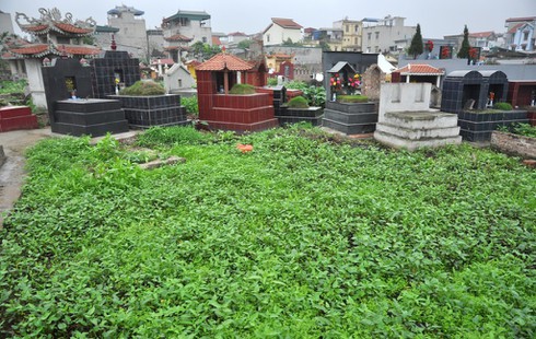 Shop TIN 4/4:Bộ trưởng lạc quan, thứ trưởng lạc lối, rau xanh dẫn ra nghĩa địa.. - ảnh 5