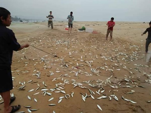 Shop TIN 19/4:Tát dân thành