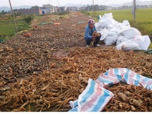 Shop TIN 19/4:Tát dân thành